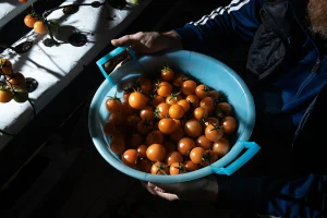 IlGiardinoSospeso-IlColoreDelLavoro-ValentinaRosati